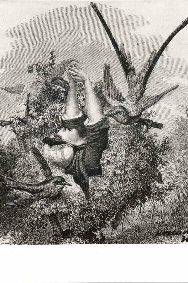 Karel Valter, Touha, koláž, 1936, foto: Rudolf Adamec